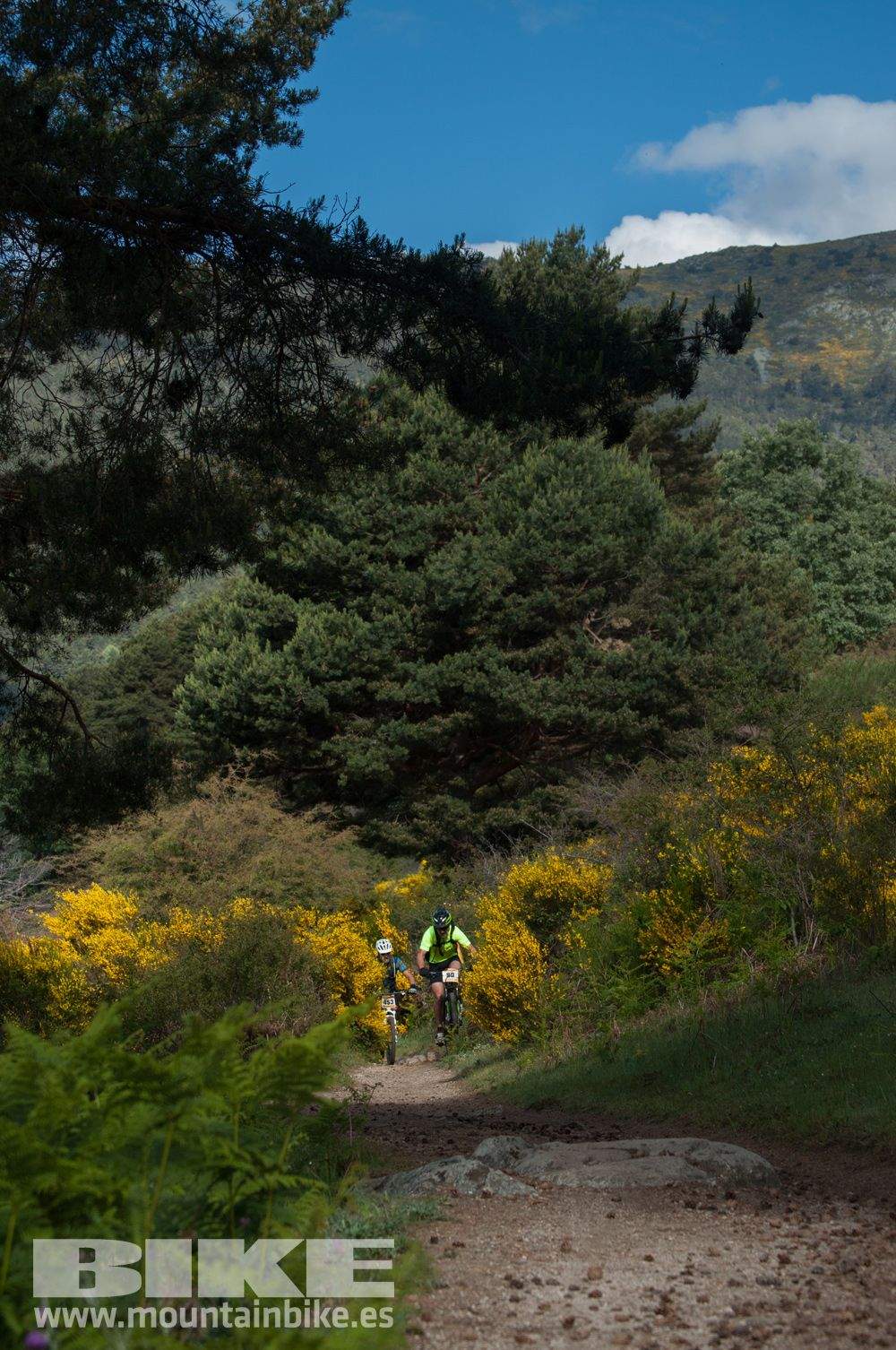 Maratón Test The Best 2014-8