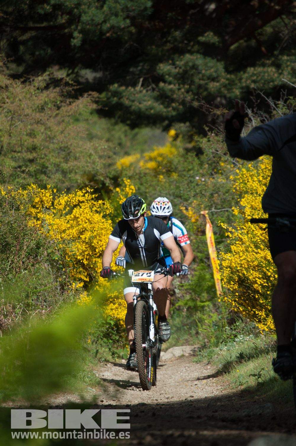 Maratón Test The Best 2014-8
