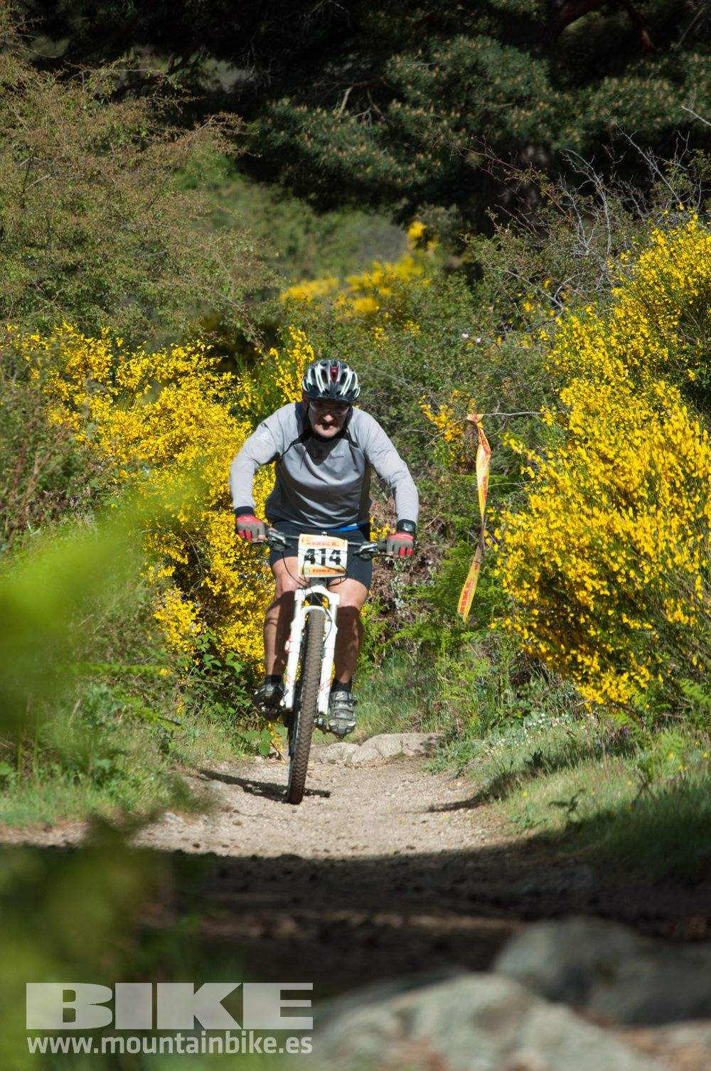 Maratón Test The Best 2014-8