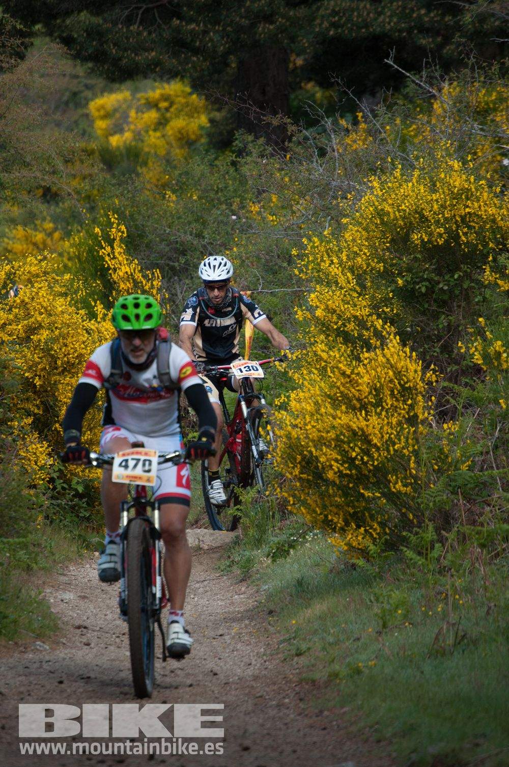 Maratón Test The Best 2014-8