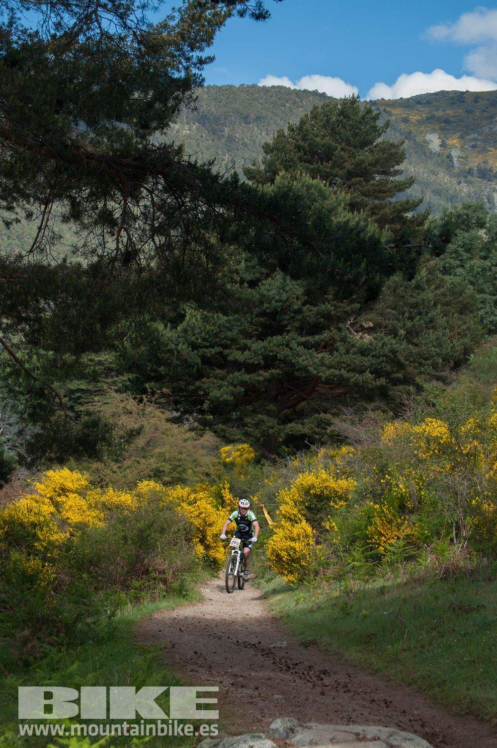 Maratón Test The Best 2014-8