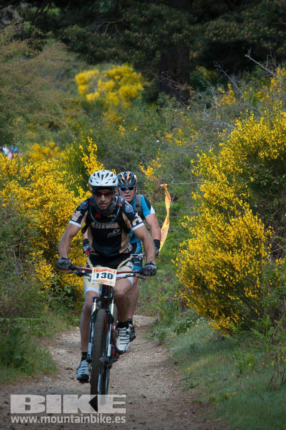 Maratón Test The Best 2014-8