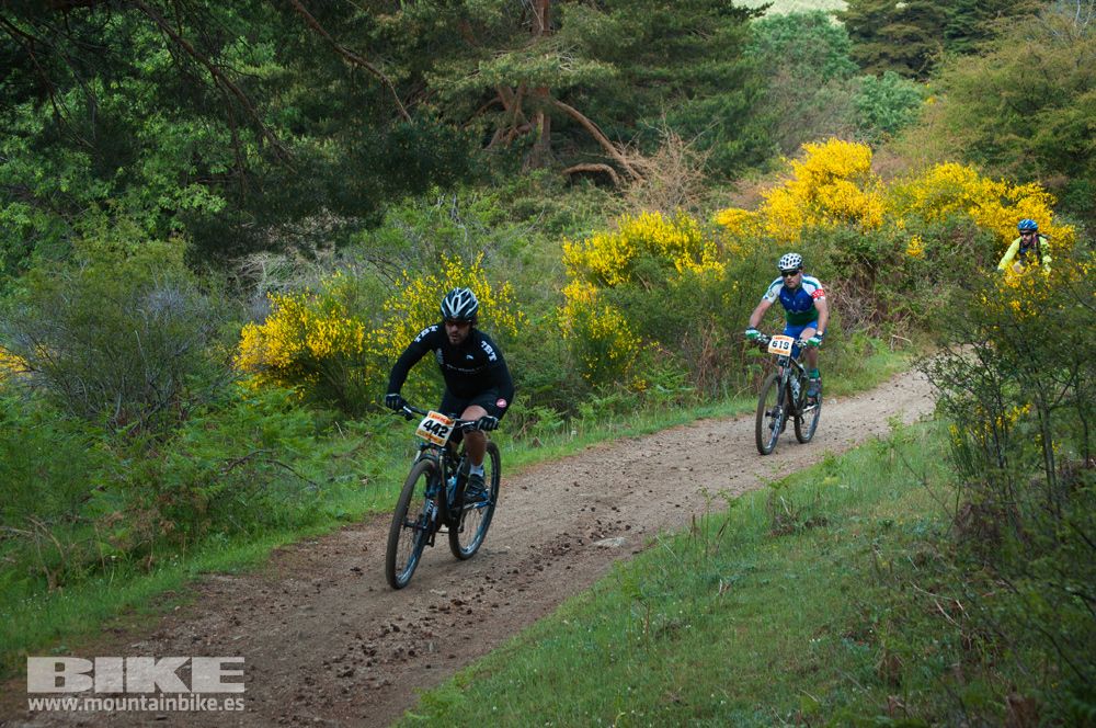 Maratón Test The Best 2014-8