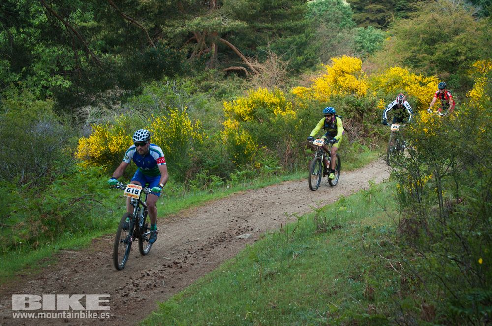 Maratón Test The Best 2014-8