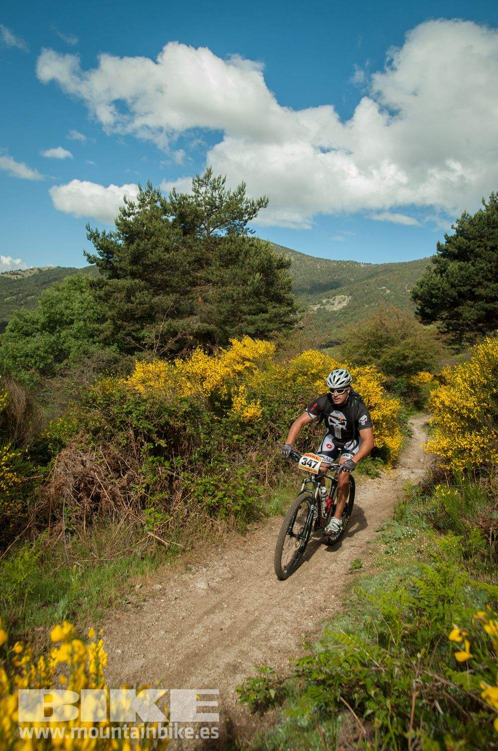 Maratón Test The Best 2014-8