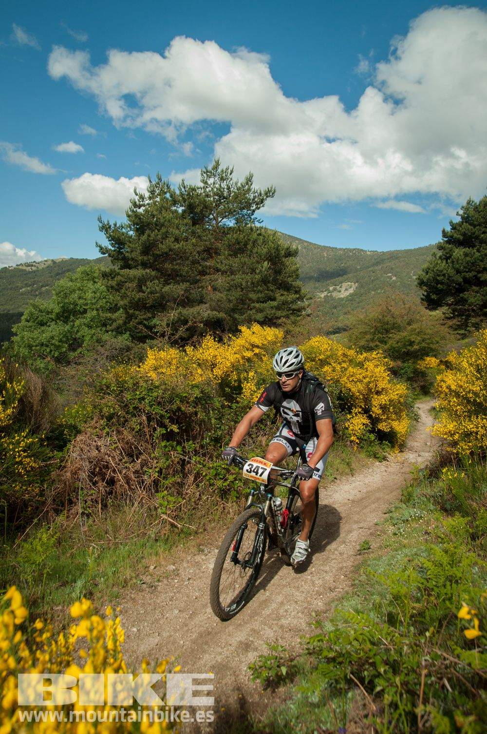 Maratón Test The Best 2014-8