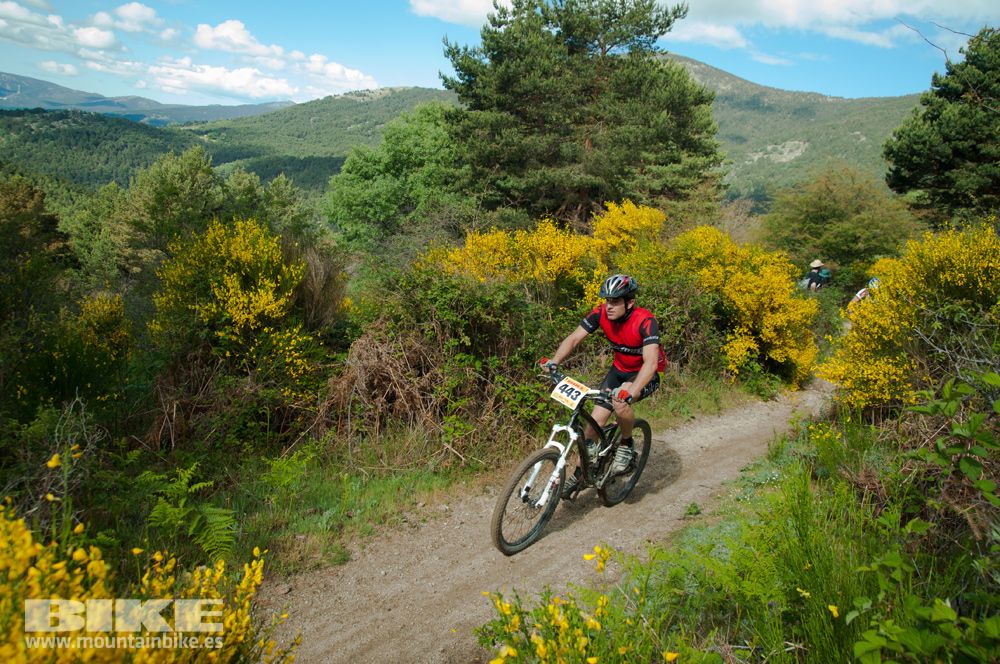 Maratón Test The Best 2014-8