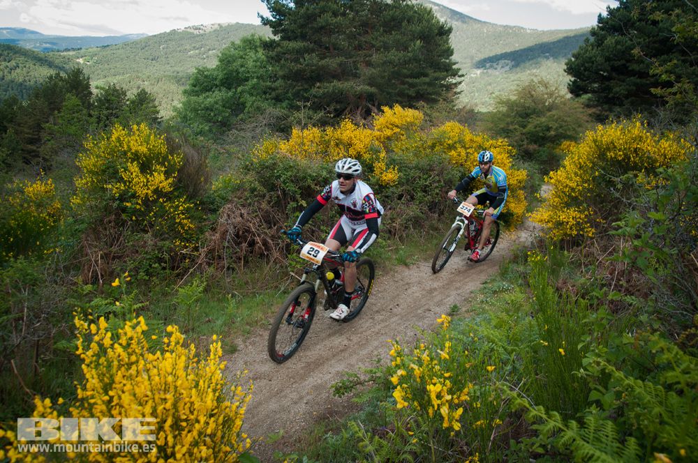 Maratón Test The Best 2014-8