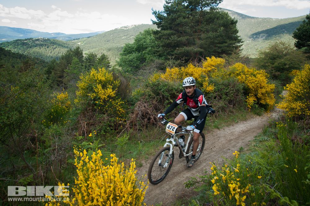 Maratón Test The Best 2014-8