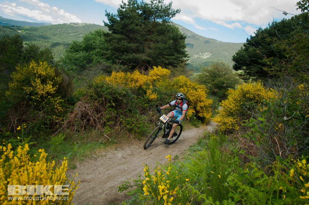 Maratón Test The Best 2014-8