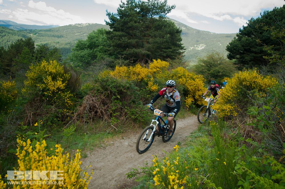 Maratón Test The Best 2014-8