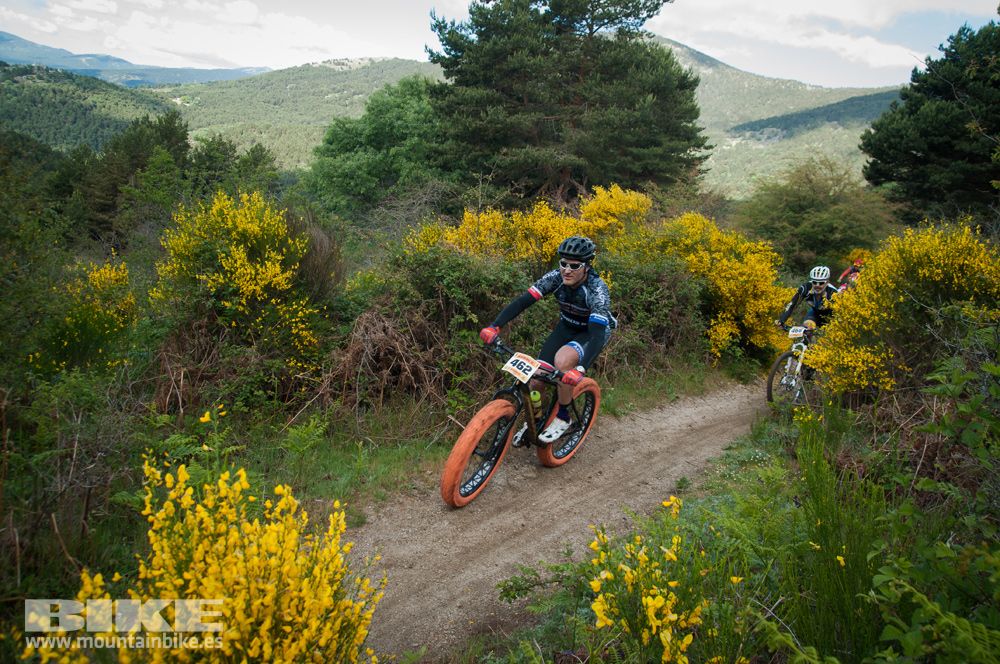 Maratón Test The Best 2014-8