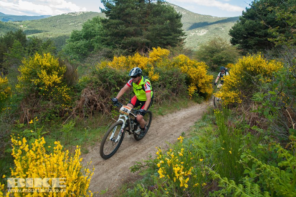 Maratón Test The Best 2014-8