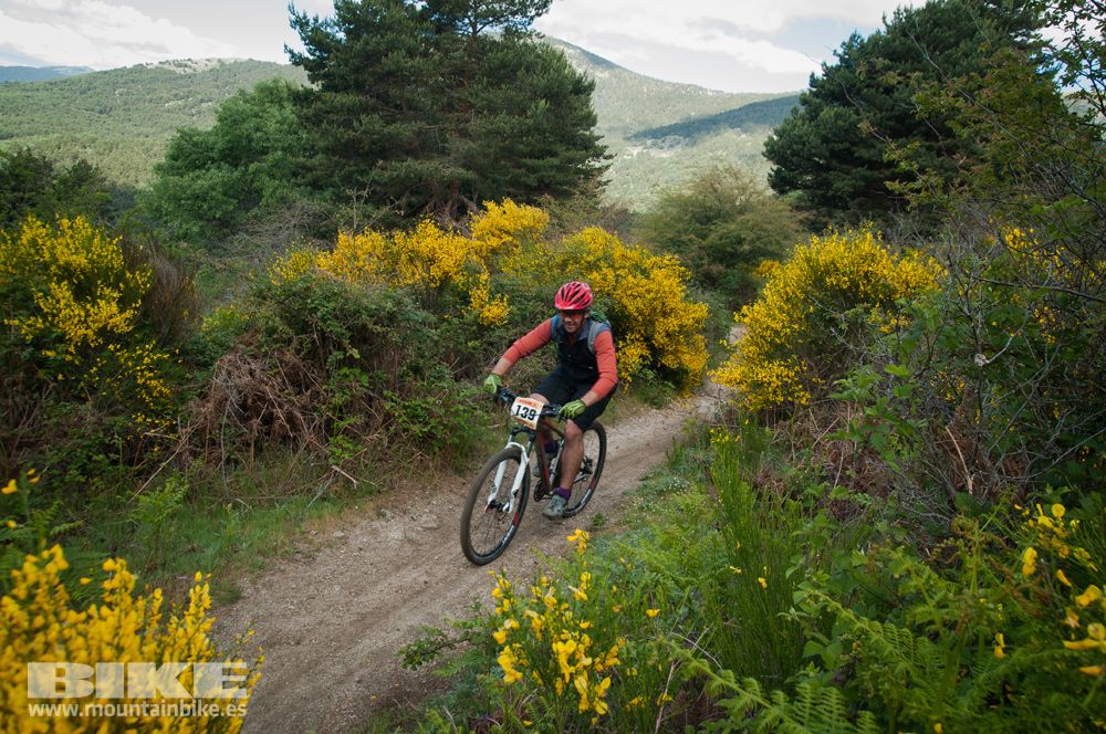 Maratón Test The Best 2014-8