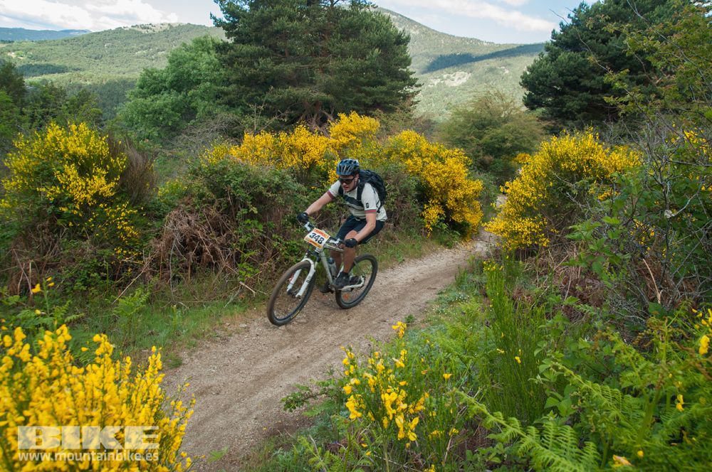 Maratón Test The Best 2014-8