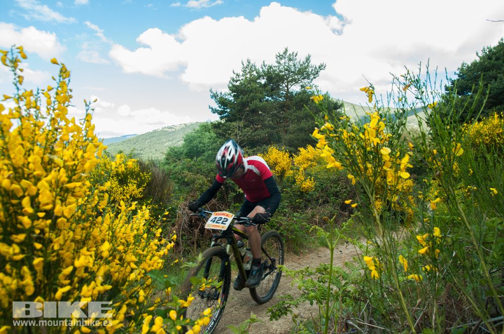 Maratón Test The Best 2014-8