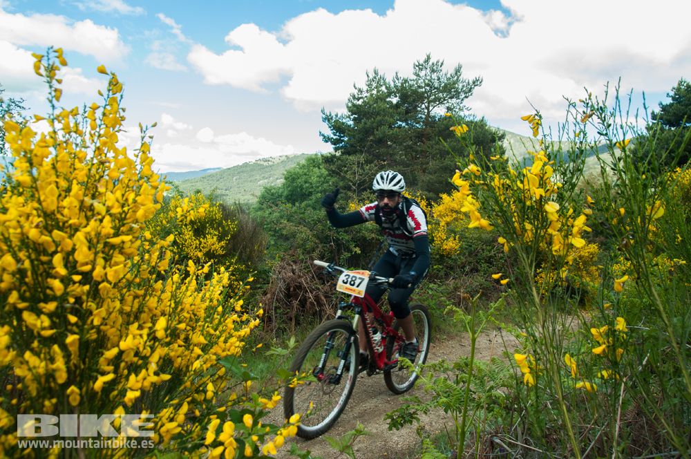 Maratón Test The Best 2014-8