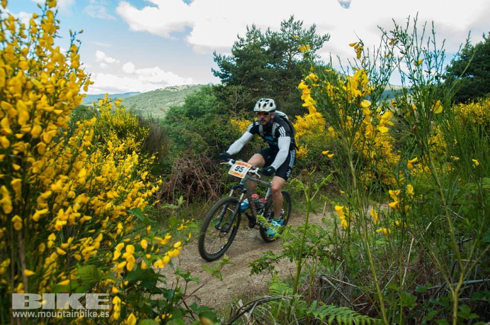Maratón Test The Best 2014-8