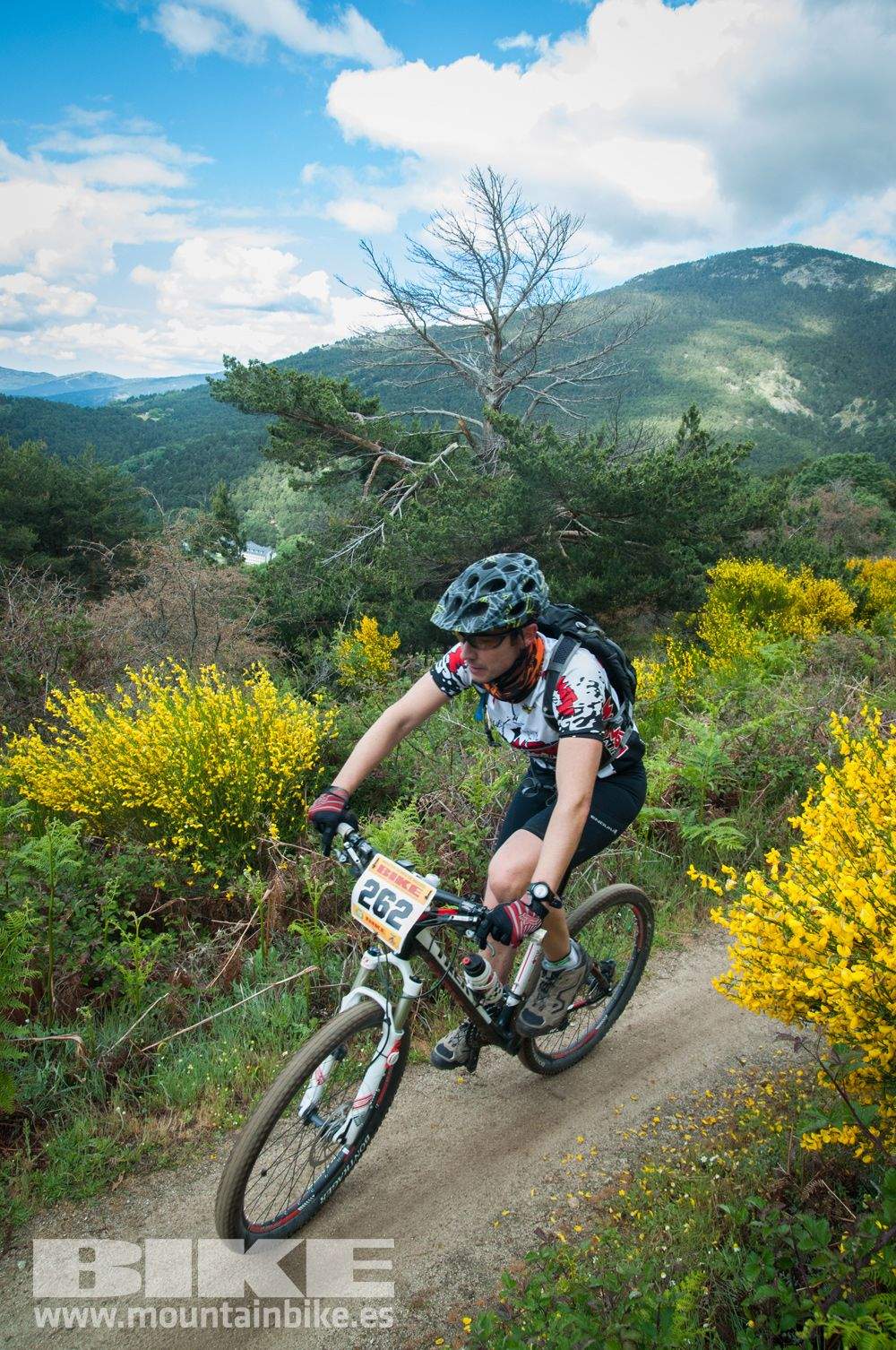 Maratón Test The Best 2014-9