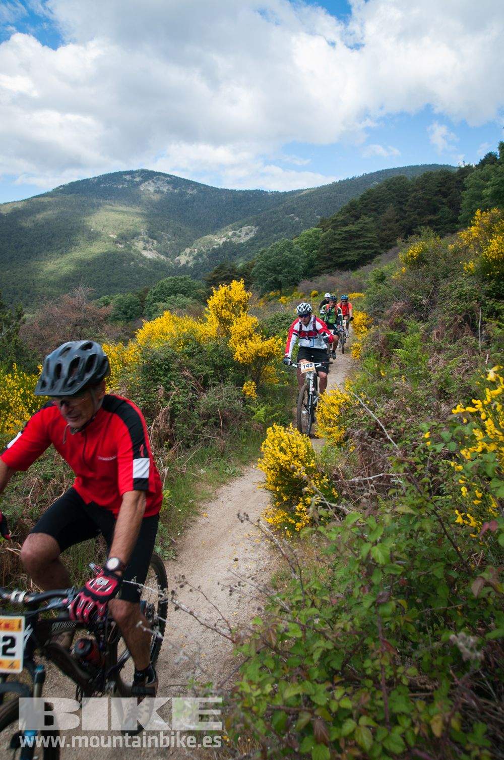 Maratón Test The Best 2014-9