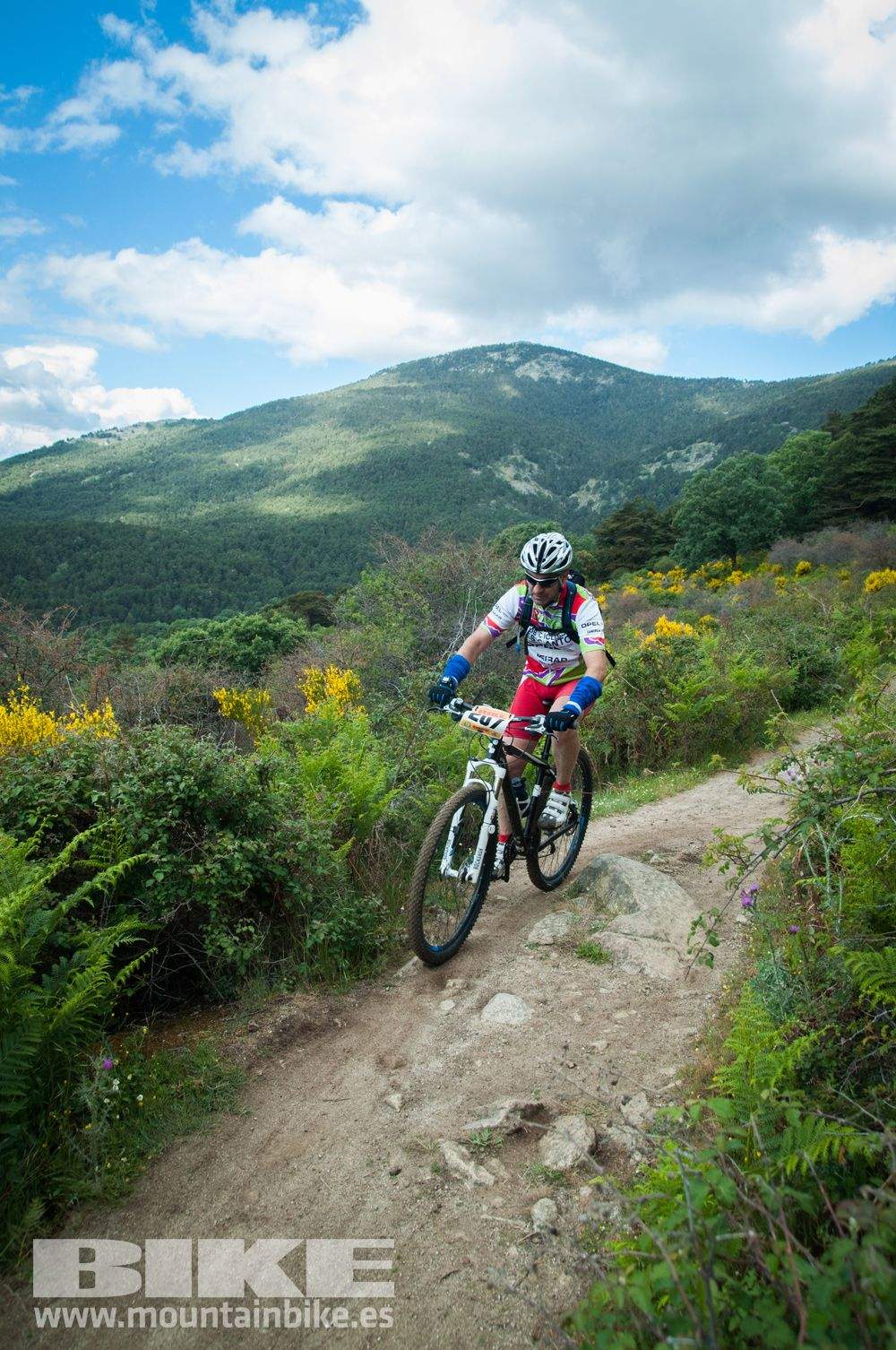 Maratón Test The Best 2014-9