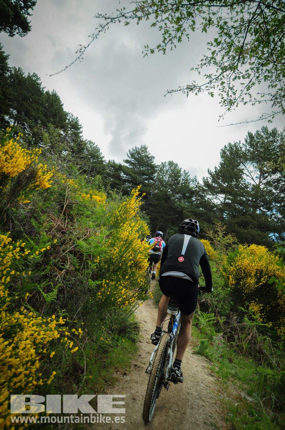 Maratón Test The Best 2014-9
