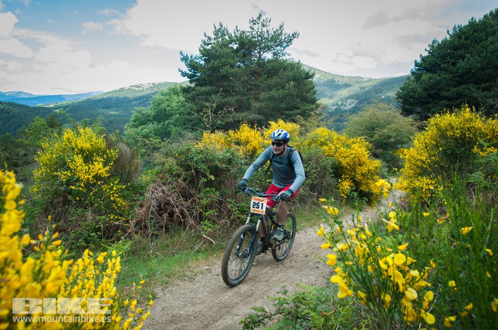 Maratón Test The Best 2014-9
