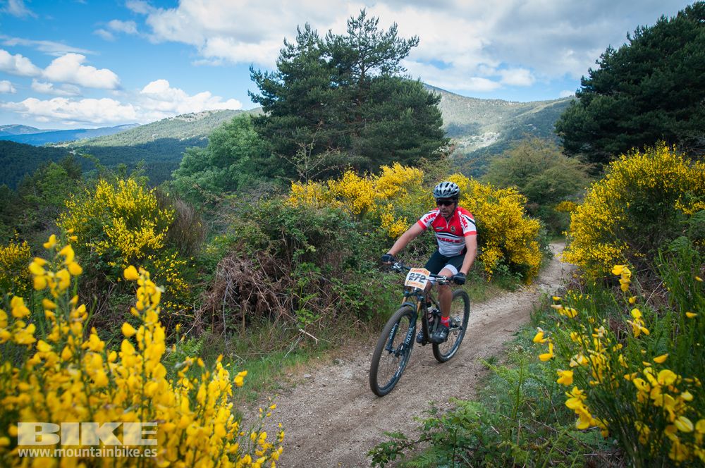 Maratón Test The Best 2014-9