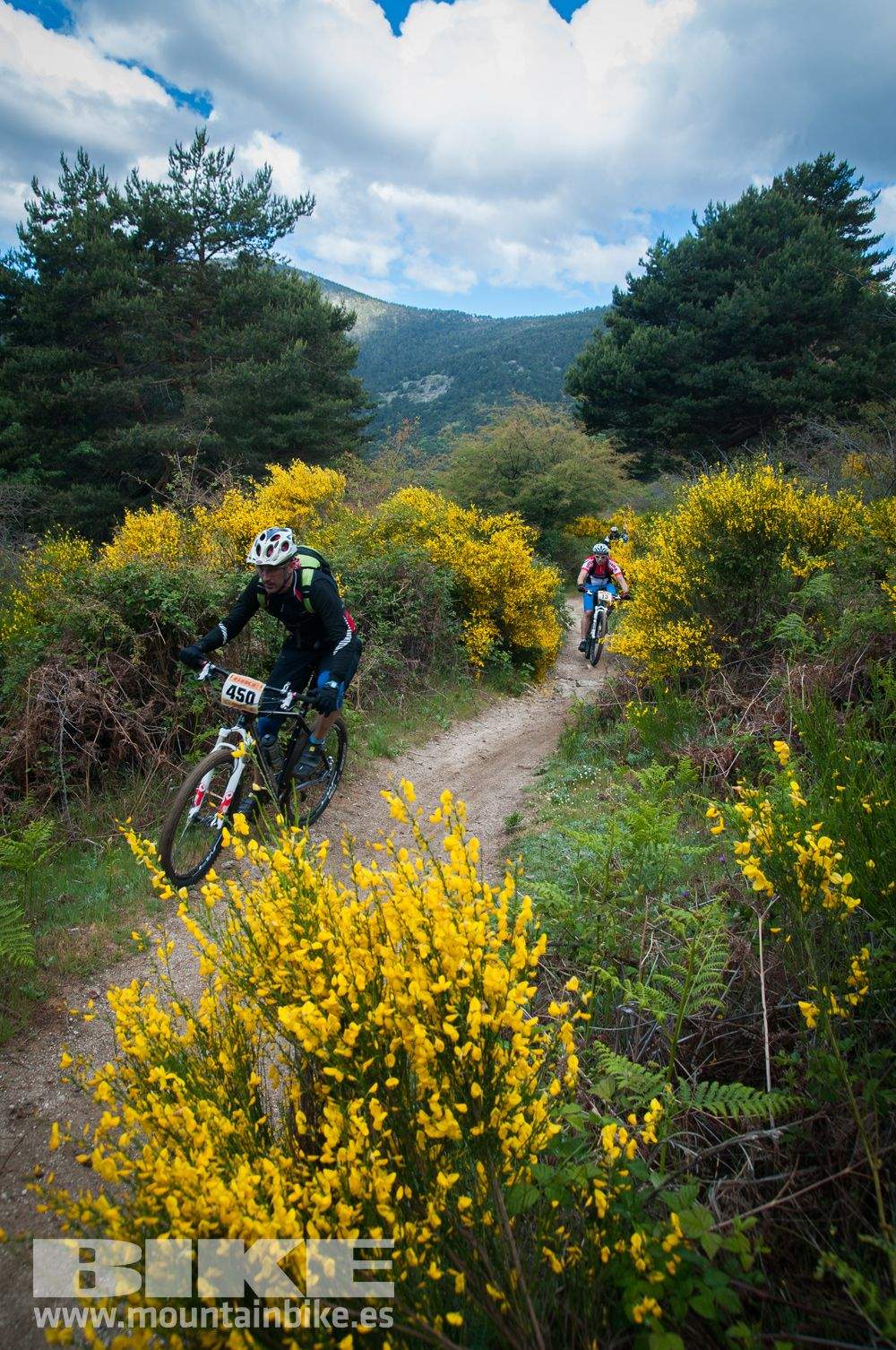Maratón Test The Best 2014-9