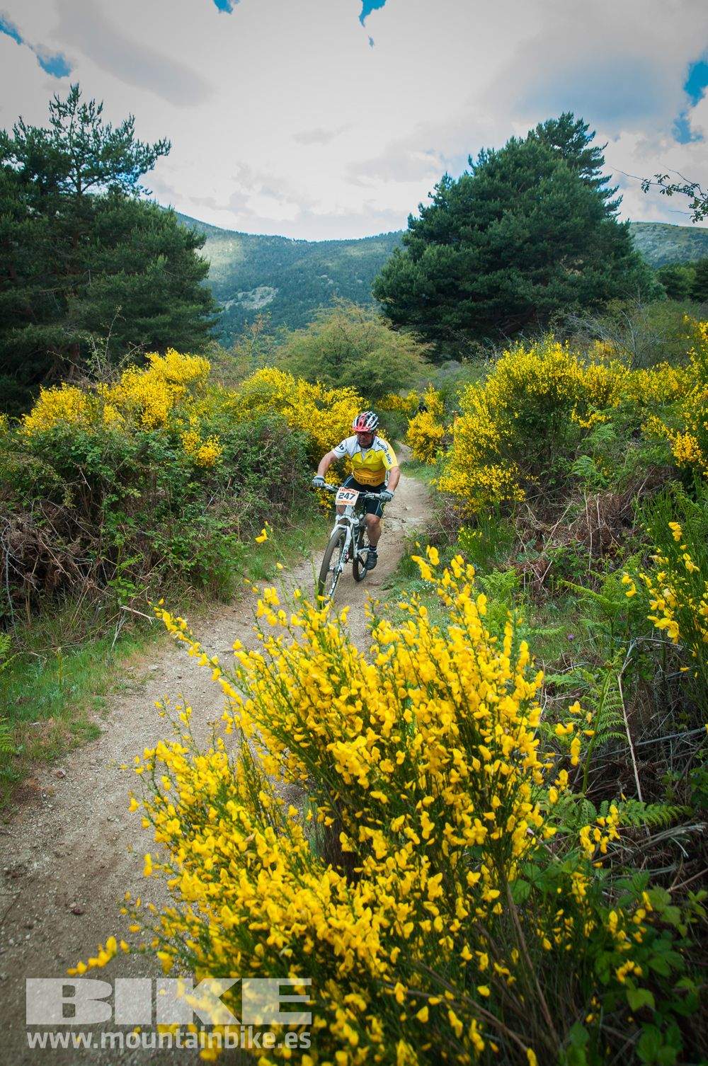 Maratón Test The Best 2014-9
