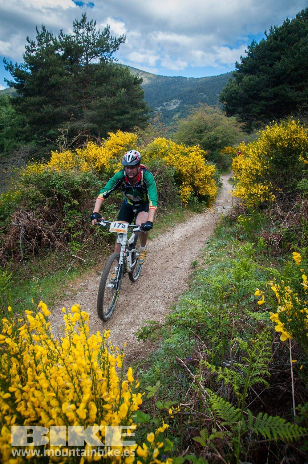 Maratón Test The Best 2014-9