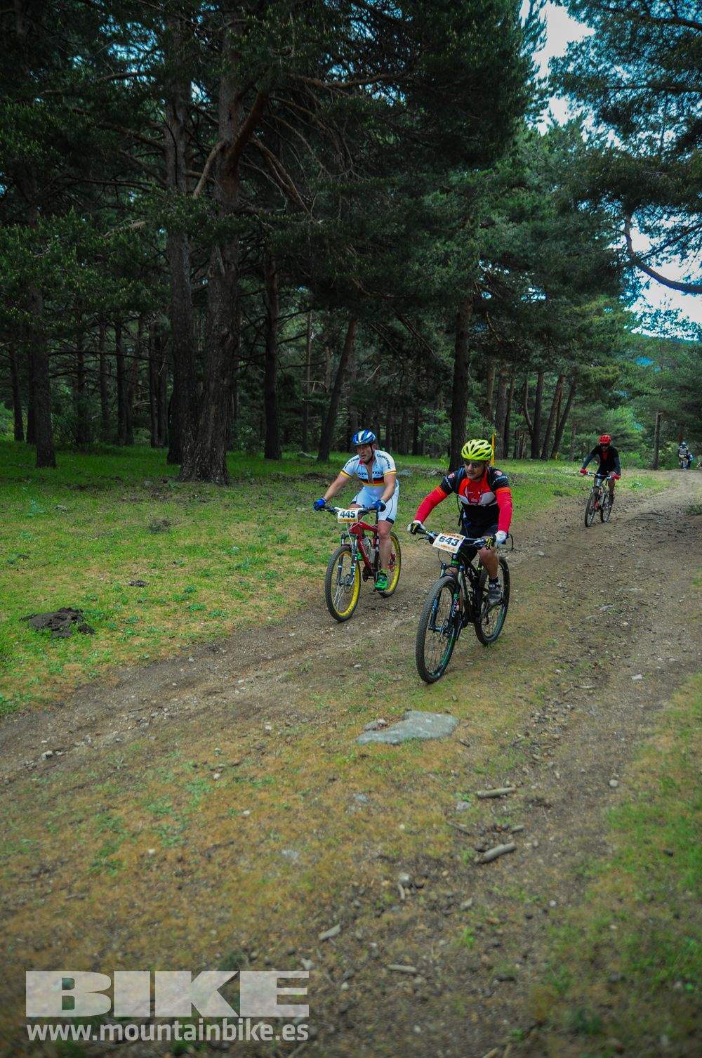 Maratón Test The Best 2014-10