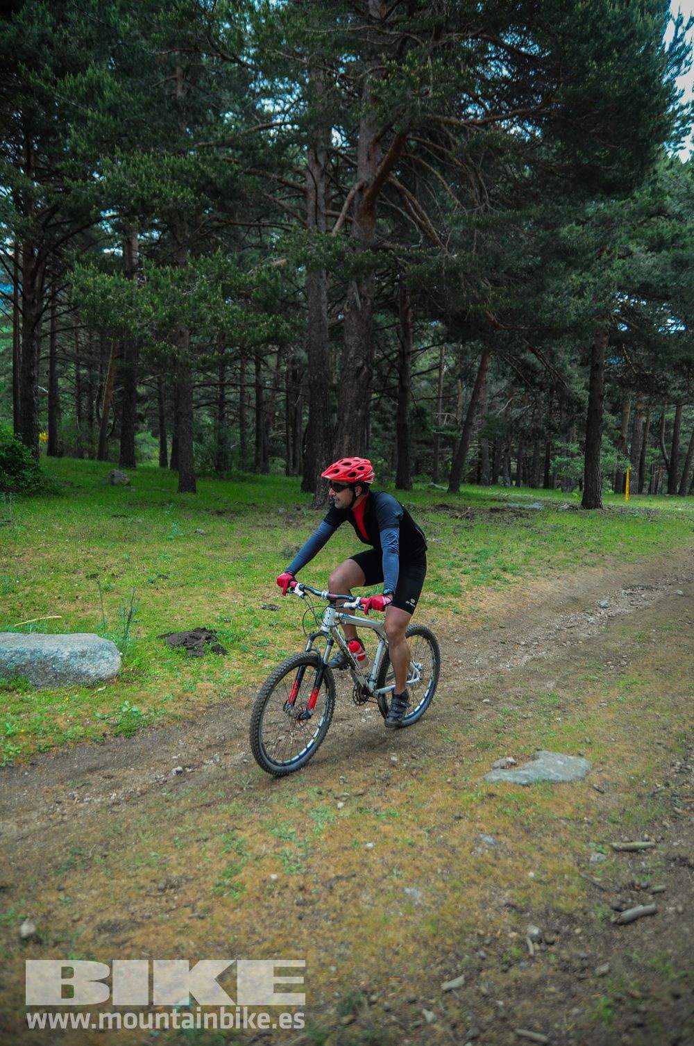 Maratón Test The Best 2014-10