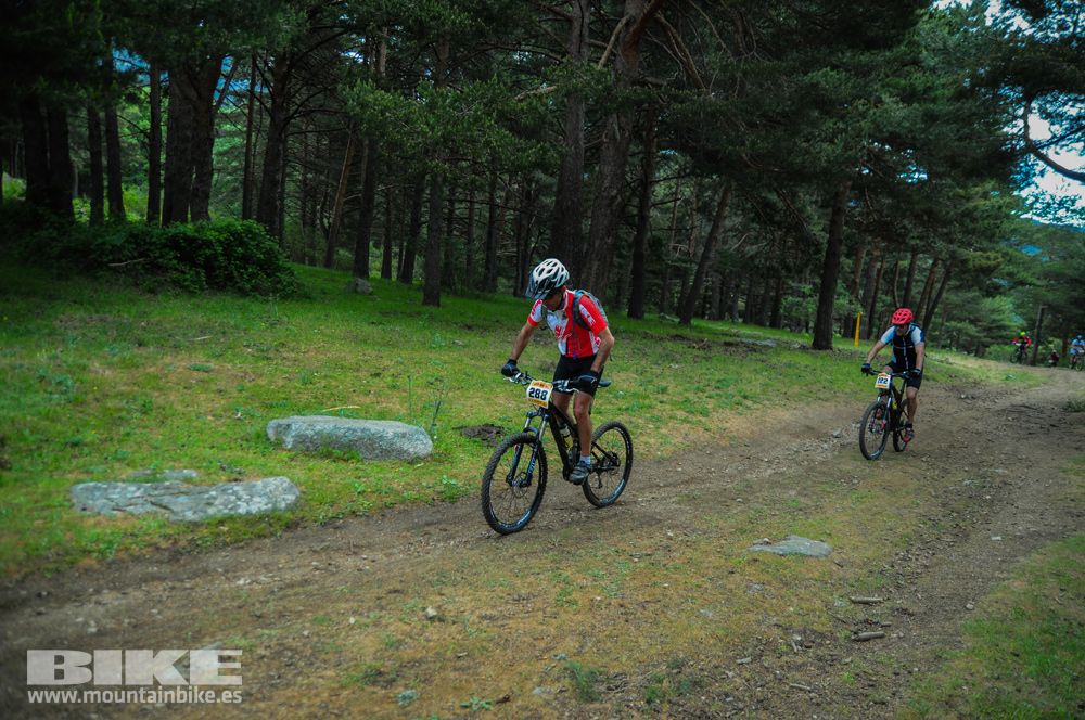 Maratón Test The Best 2014-10