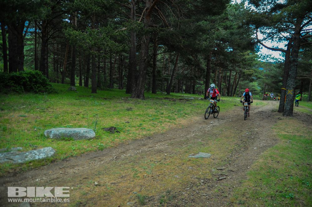 Maratón Test The Best 2014-10