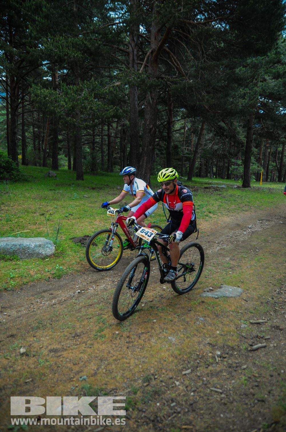 Maratón Test The Best 2014-10