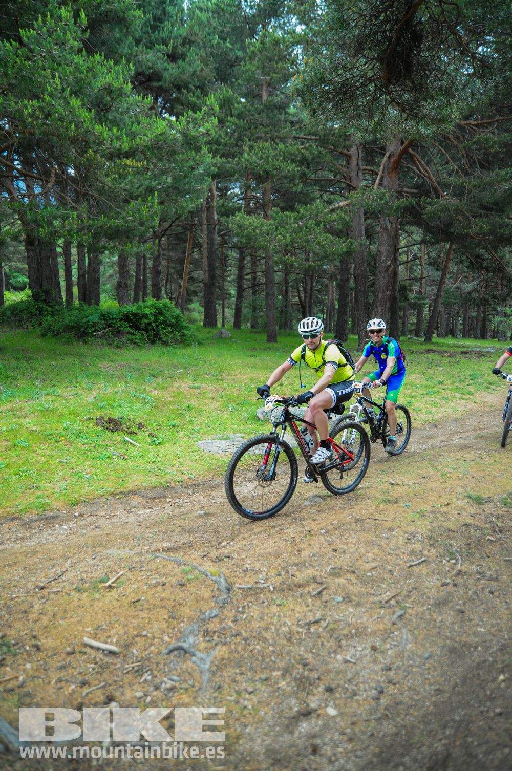 Maratón Test The Best 2014-10