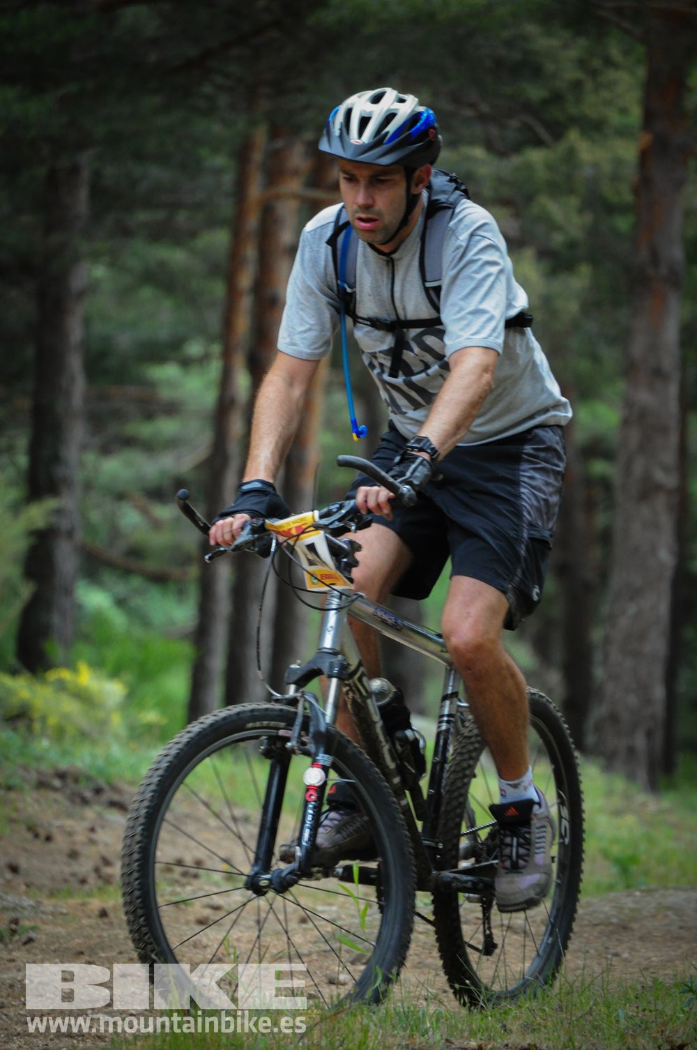 Maratón Test The Best 2014-10
