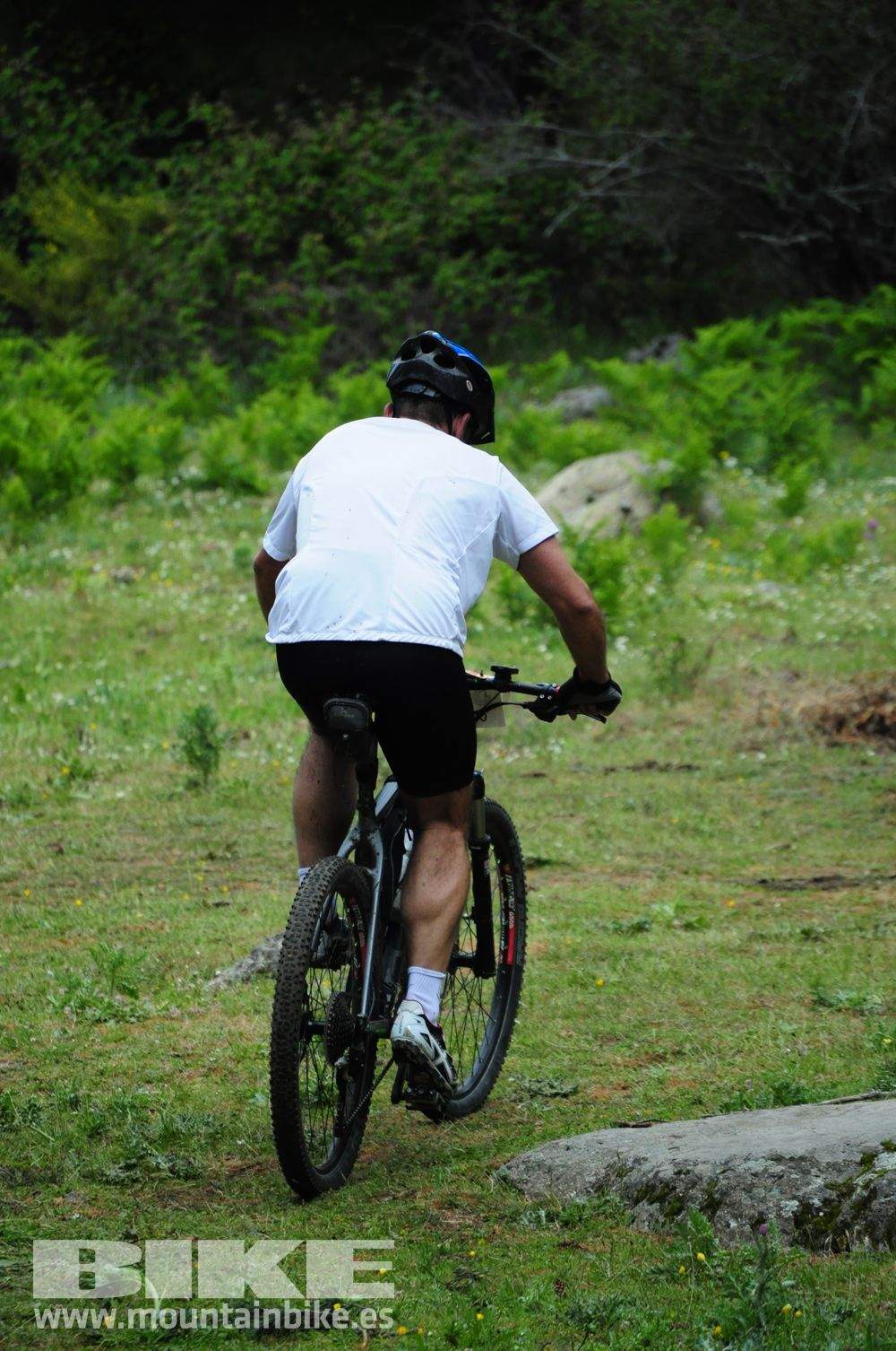 Maratón Test The Best 2014-10