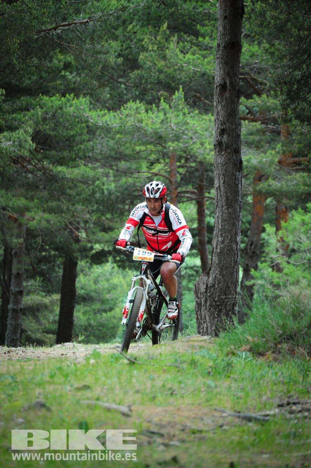 Maratón Test The Best 2014-10