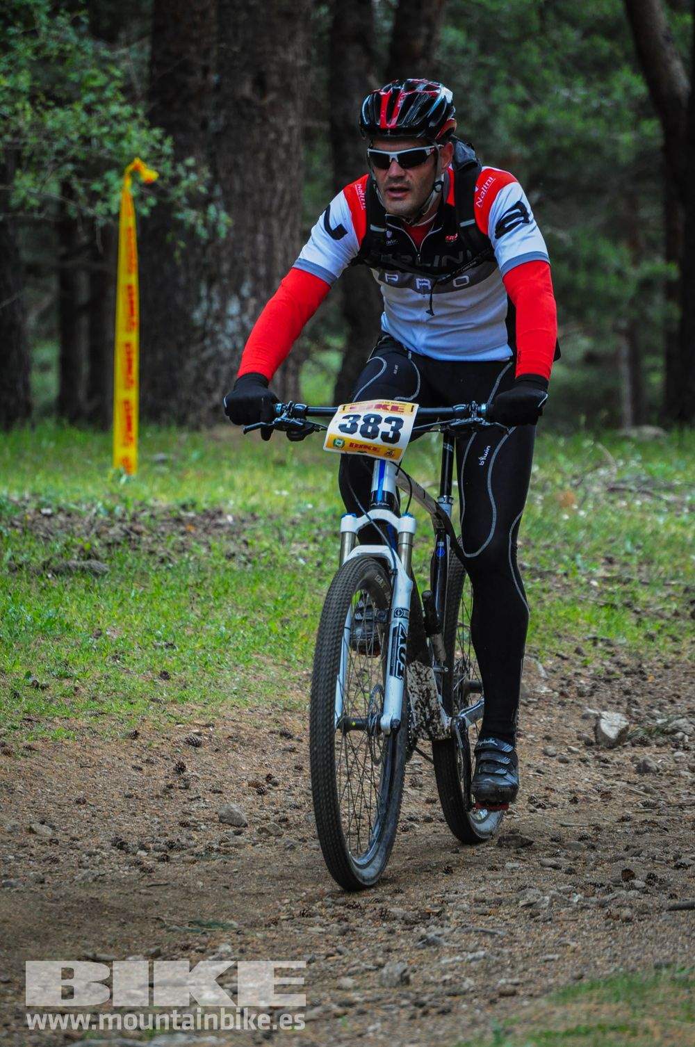 Maratón Test The Best 2014-10