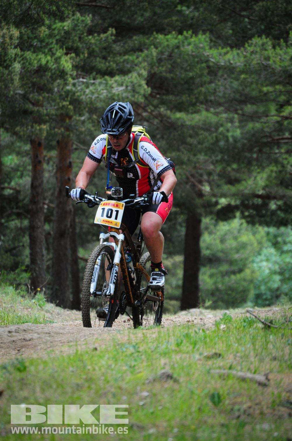 Maratón Test The Best 2014-10