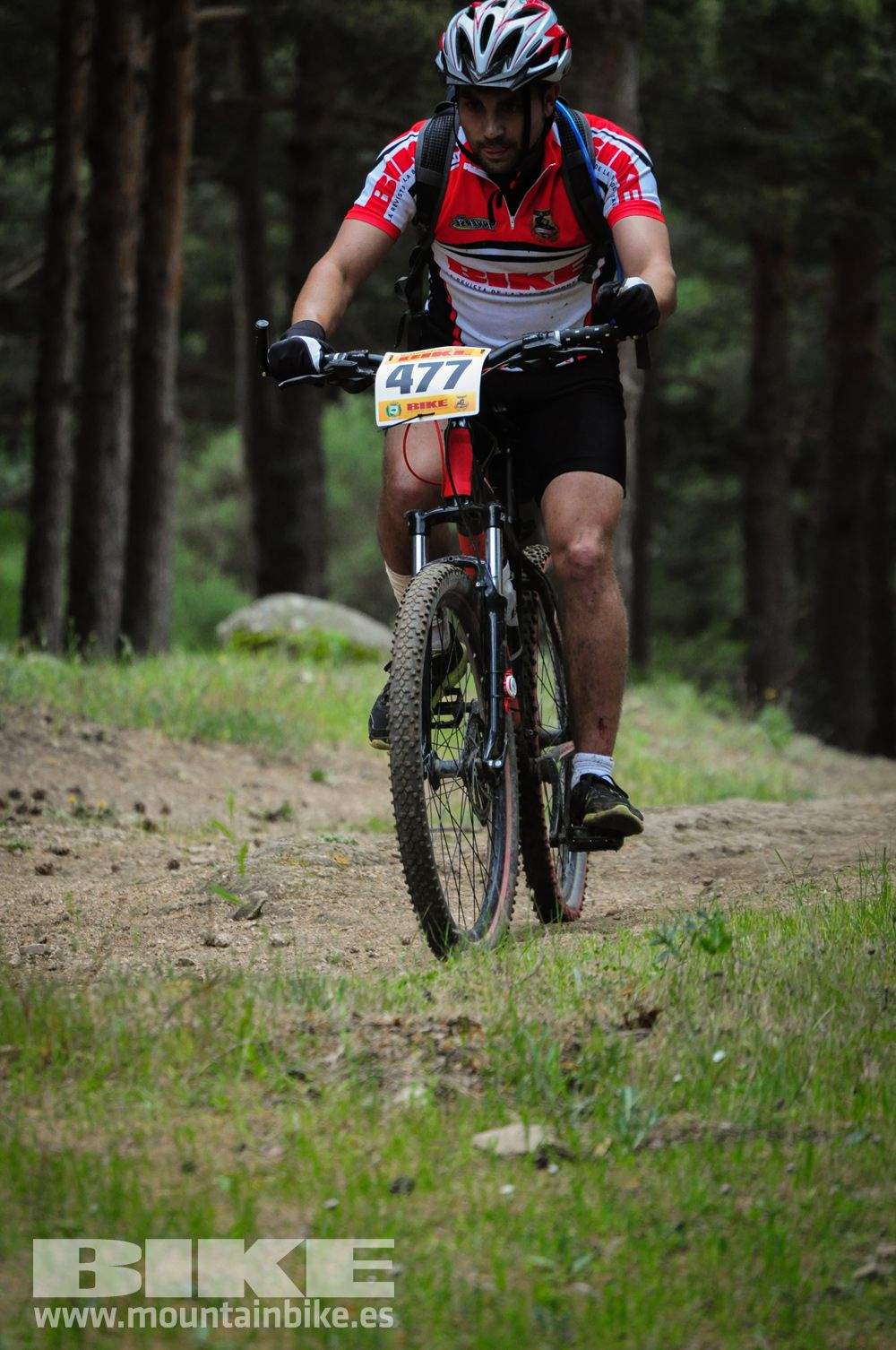 Maratón Test The Best 2014-10