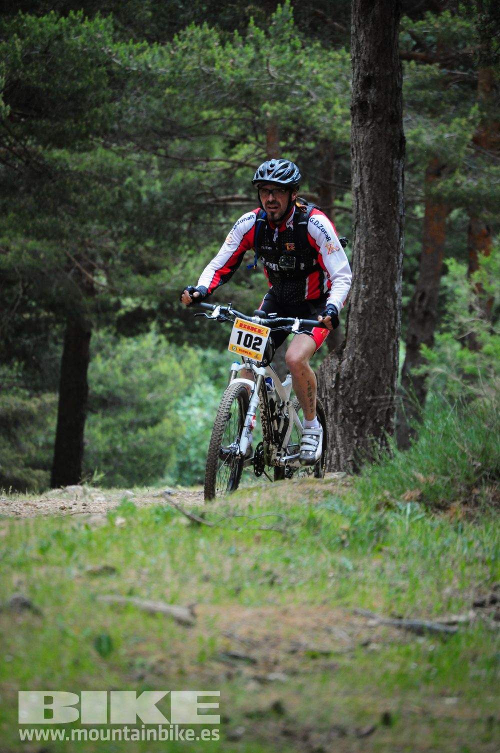 Maratón Test The Best 2014-10