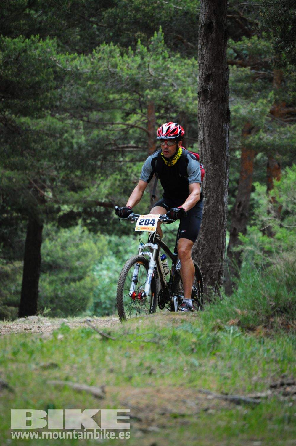 Maratón Test The Best 2014-10
