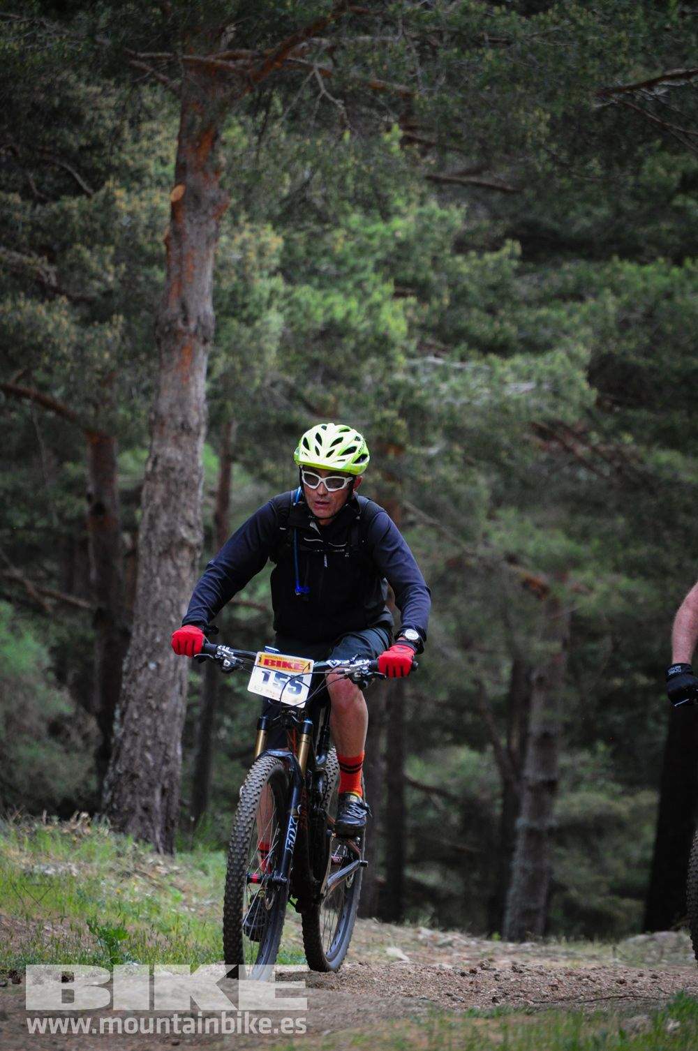 Maratón Test The Best 2014-10
