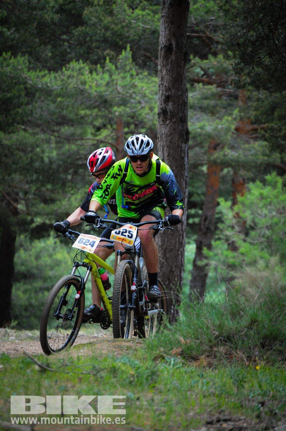 Maratón Test The Best 2014-10
