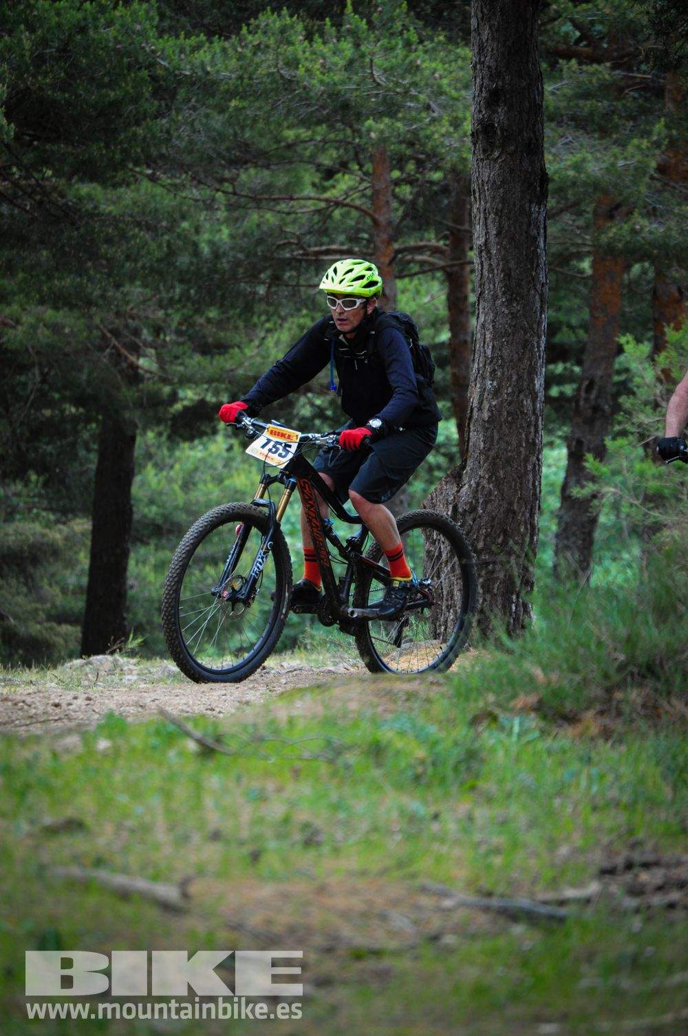 Maratón Test The Best 2014-10