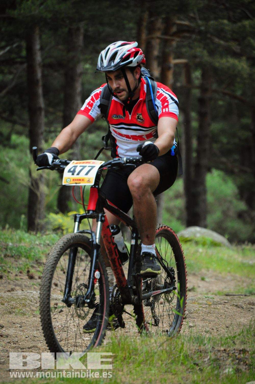 Maratón Test The Best 2014-10