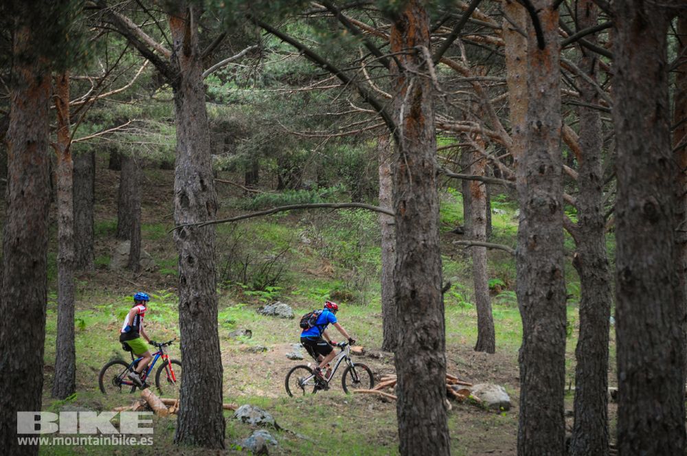 Maratón Test The Best 2014-10